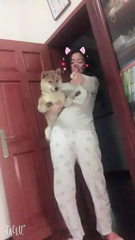 軟板廠之爸媽，我真的是你們親生的嗎？