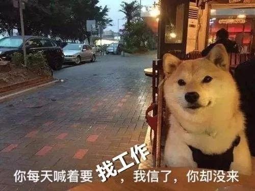招聘 | 這是一道送錢題，有膽你就來！